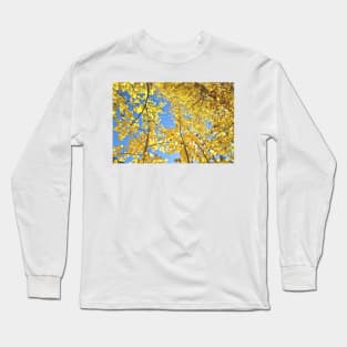 Golden Fall Aspen Trees in Colorado Long Sleeve T-Shirt